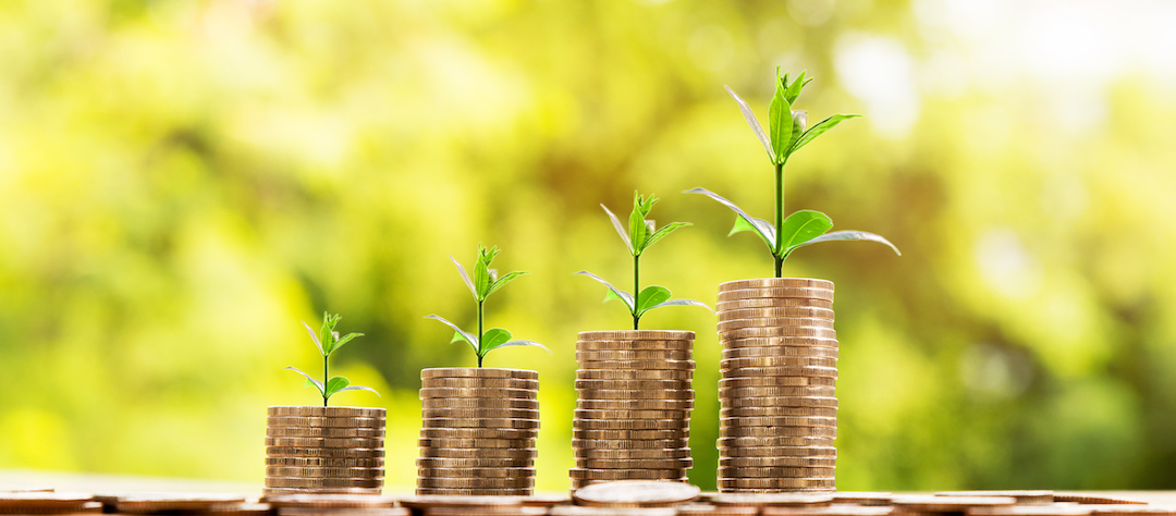 Stack of coins with green sprouts.